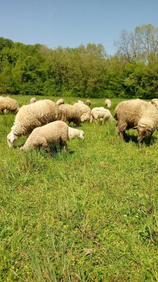 Agroturizam Dobrogosce Hotell Caglin Eksteriør bilde